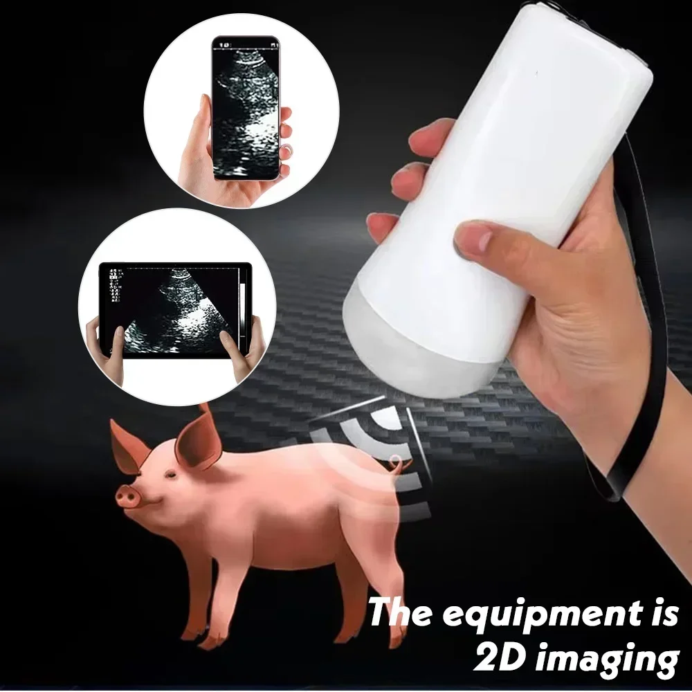 Wireless Veterinary Ultrasound Scanner Handheld Ultrasound Machine Wireless Colo