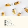 8ml Salmon DNA Gold Ampoule Skin Booster Serum Stayve BB Cream Glow Beginner Starter Kit Korea Face Skin Care Essence Foundation 3