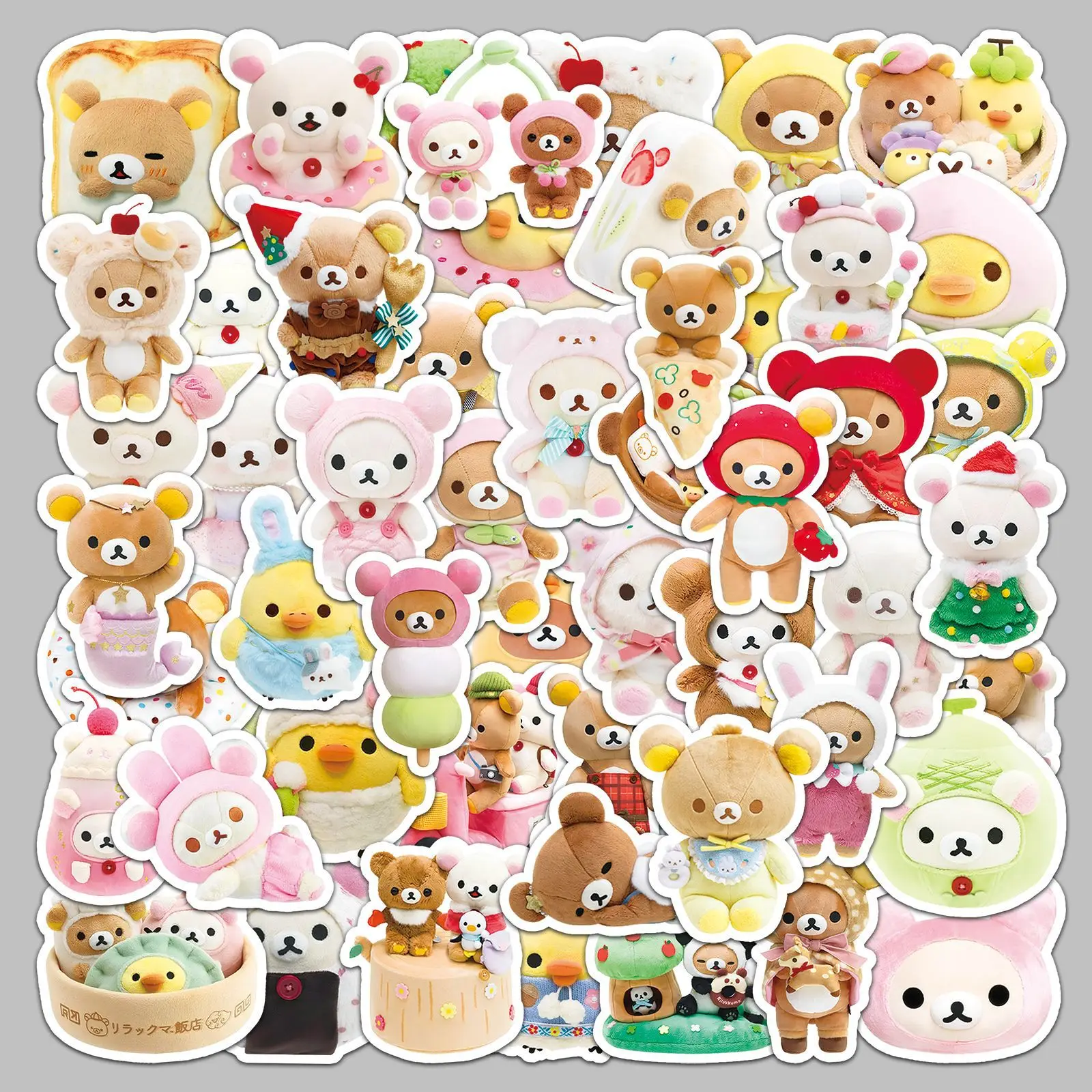 dsc-products