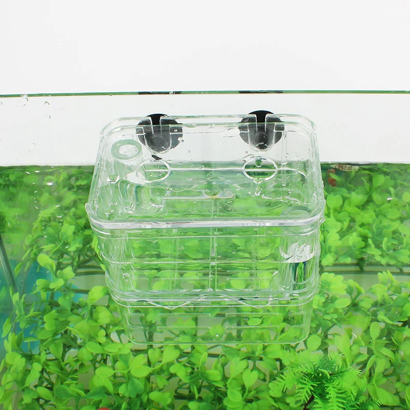 Acrylic Fish Tank Breeding Isolation Box Aquarium Hatchery Incubator Holder Accessories