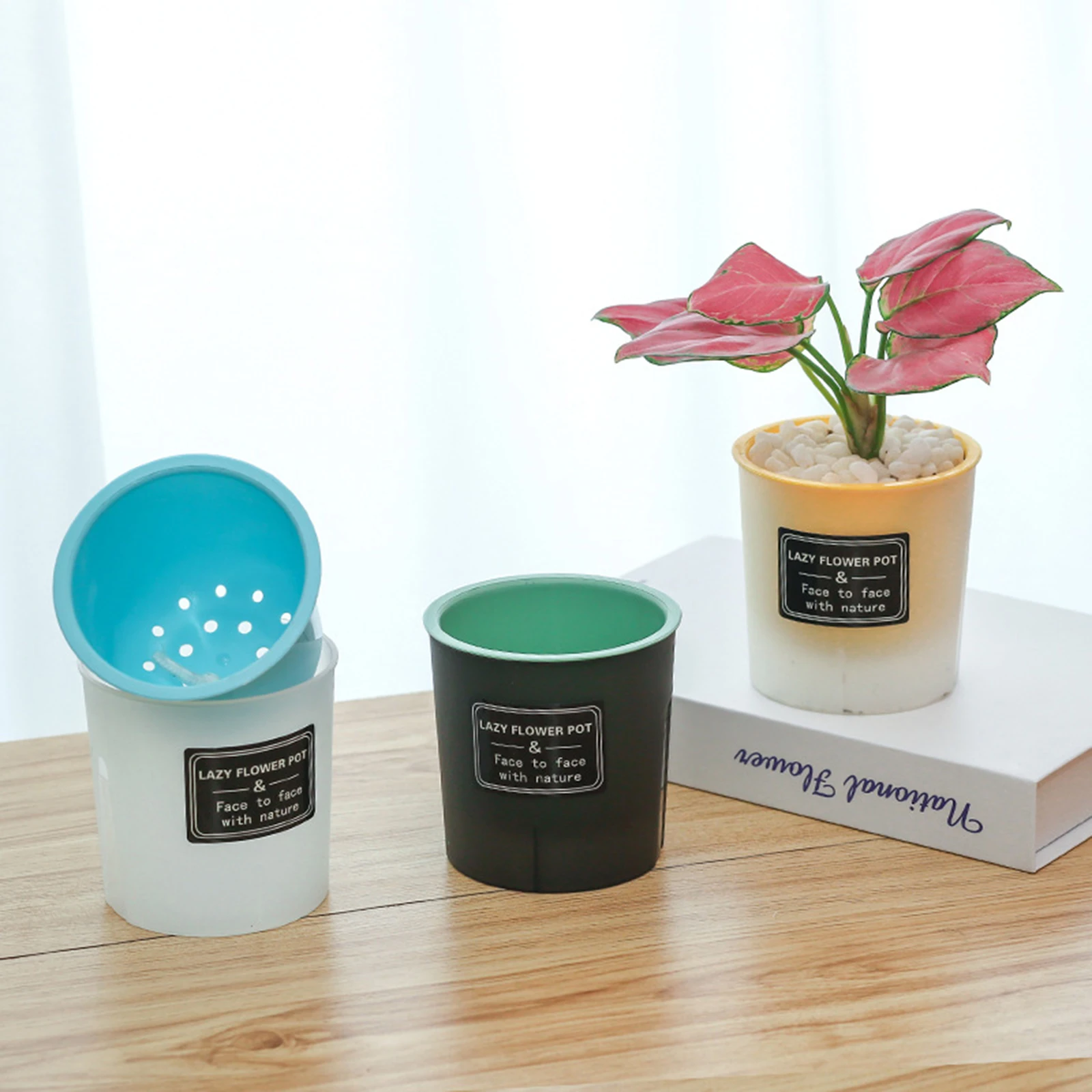 Translucent Detachable Self-Watering Flower Pot with Enhanced Drainage