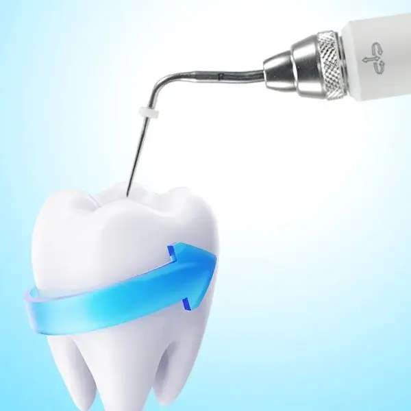 UXPU Dental Supplies Store