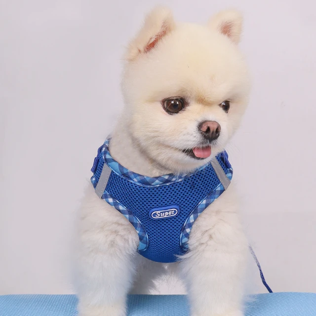 1pc Dog Harness, Anti-Pull, Pet Harness, Adjustable, Easy to Control, Suitable for Small, Medium Dogs 4