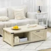 Wooden Farmhouse Living Room Table with Open Storage and Barn Door Design, Oak 3