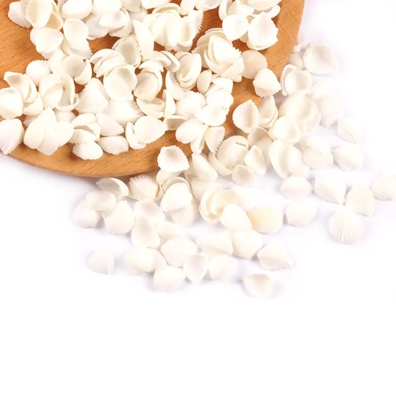 Mini Natural Sector Shells 100pcs for Tank Aquarium Glass Bottle Beach Decor DIY Aquarium Embellishments Crafts Supplies natural shell ornaments
