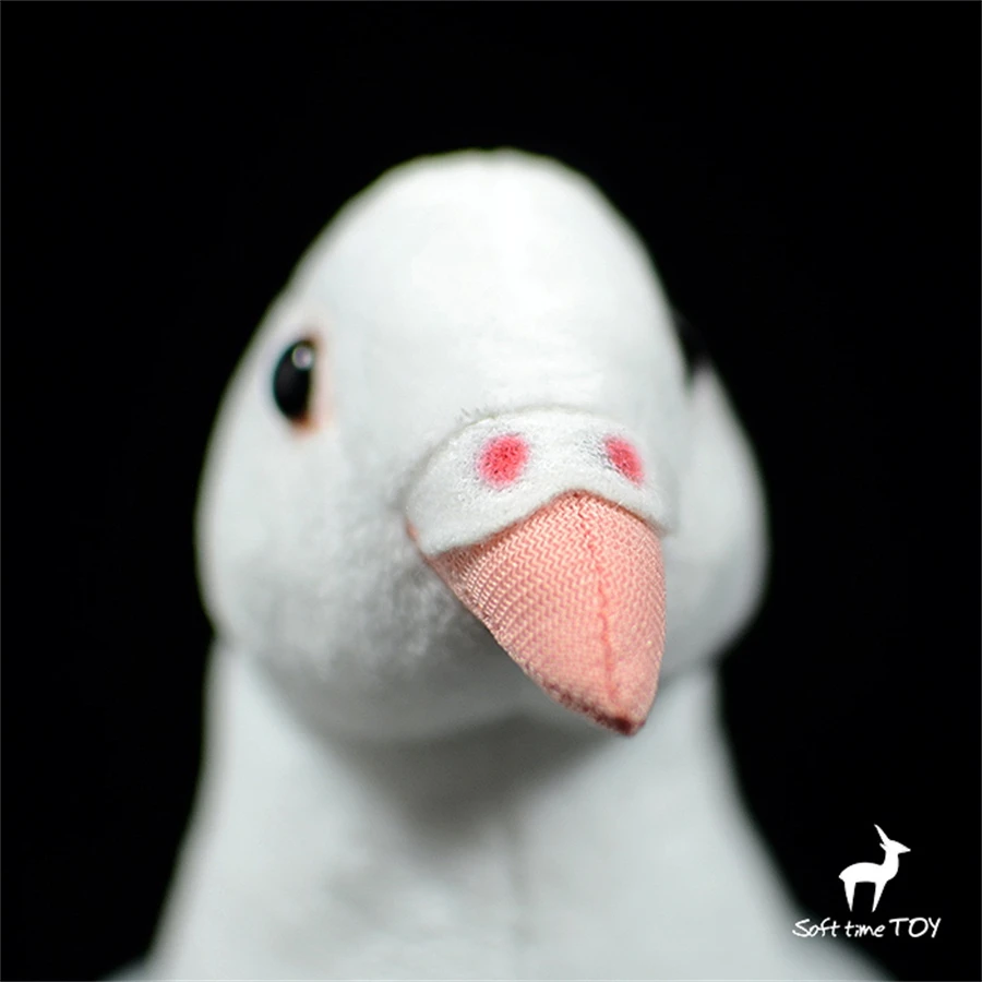 Jouets en peluche Pigeon Anime pour enfants, haute fidélité, mignon, oiseau  de la paix, animaux réalistes, beurre en peluche de simulation, Kawai,  cadeaux - AliExpress