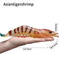 Asiantigershrimp