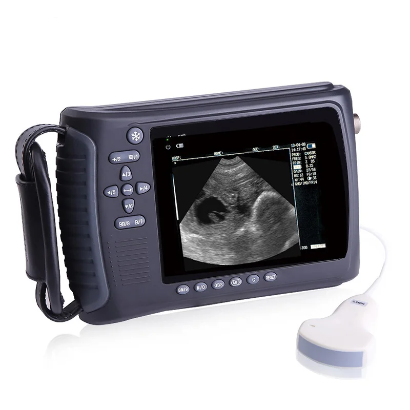 

Hp-3018v Farm Use Veterinary Full Digital Handheld Ultrasound Scanner Vet Ultrasound Veterinary Ultrasound Machine