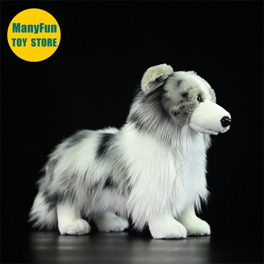 S41c6370f37744decbed6e7a1e2639a5bf - Border Collie Gifts