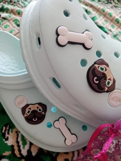 Рисунок 4 - собака корги бульдог обуви талисманы аксессуары