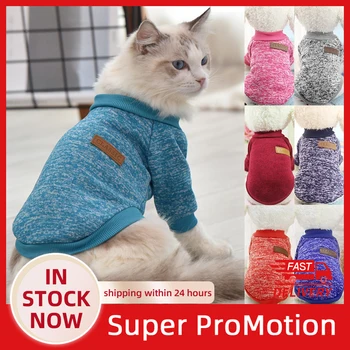 Soft sweater for Kitten Cats 1