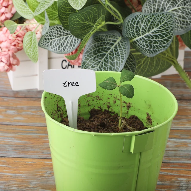 100Db Fehér Növények Címkék Jelzés Jelző Tollkert Bonsai Cserepes Virágok Vetőmag Óvodai Tányér Tányéra Címké - Image 4