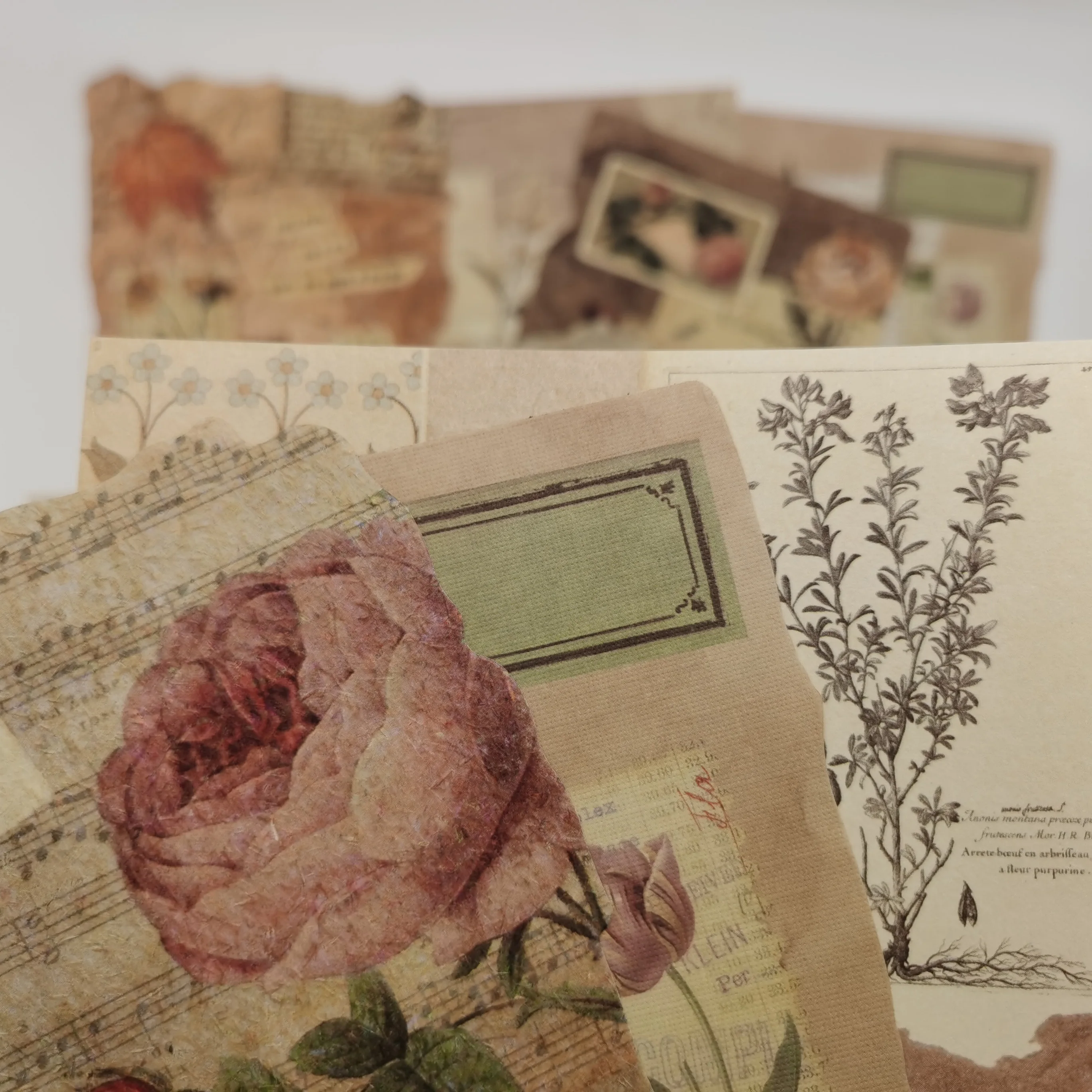 60 Ʈ Ʈ ݶ ø Ƽ     Ѿ θ Scrapbooking   