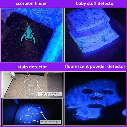 충전식 LED UV 손전등 자외선 토치 줌이 가능한 미니 395nm UV 블랙 라이트, 애완 동물 소변 얼룩 감지기 전갈 사냥 2