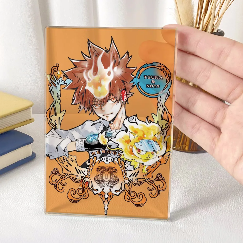 

Хитман Реборн! Sawada Tsunayoshi Gokudera Hayato 12 см Косплей акриловая фигурка Хрустальная настольная фигурка 4700 детская коллекционная игрушка