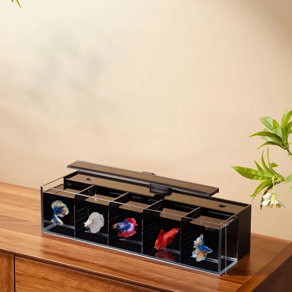 Multi-format modular partition aquarium system self-cleaning glass fish ...