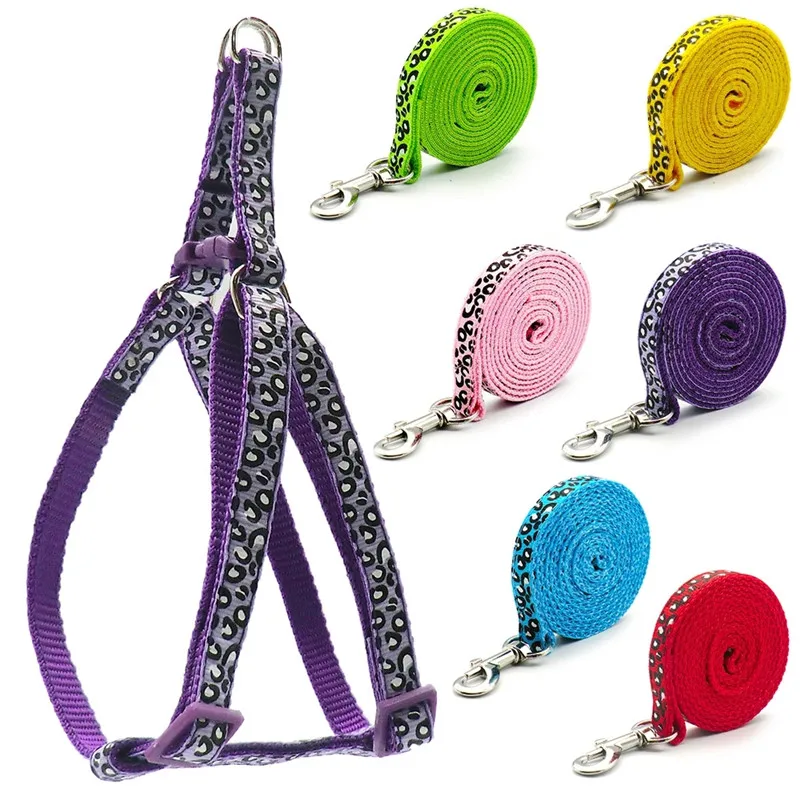 Fashion Small Dog Cat Harness Leash Adjustable Vest Collar Puppy Outdoor Walking Chihuahua Terrier Schnauzer Dogs Accessoires Fashion Small Dog Cat Harness Leash Adjustable Vest Collar Puppy Outdoor Walking Chihuahua Terrier Schnauzer Dogs Accessoires