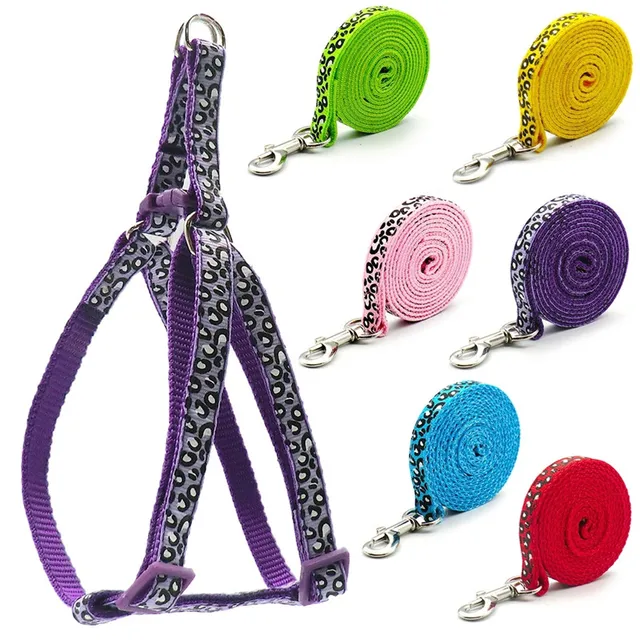 Fashion Small Dog Cat Harness Leash Adjustable Vest Collar Puppy Outdoor Walking Chihuahua Terrier Schnauzer Dogs Accessoires Fashion Small Dog Cat Harness Leash Adjustable Vest Collar Puppy Outdoor Walking Chihuahua Terrier Schnauzer Dogs Accessoires