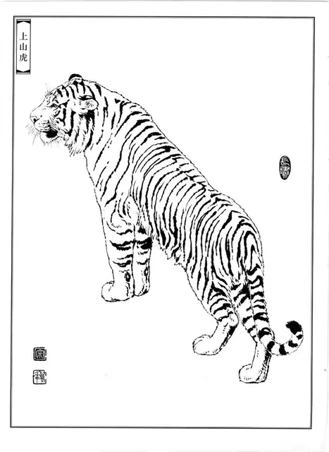 Tiger Line Drawing Manuscript Traditional Chinese Painting Animal Line  Draft Meticulous Painting Beginner Copying Practice Paper - AliExpress