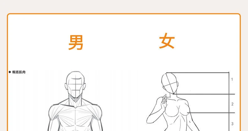 Menschlichen Körper Struktur Dynamische Skizzieren Linie Entwurf Kopie Zeichnung Papier Kopie Farbe Anime Charakter Skizzieren Malerei Tutorial Buch – Detail 7