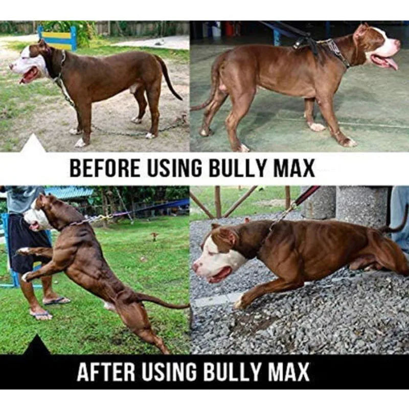  Bully Max The Ultimate Canine Supplement 60 tables