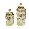 Ceramic Checkmate Jar Storage Jar Gold Stripe Storage Tank Flower Vase Airtight Tank Home Decoration Accessories 6