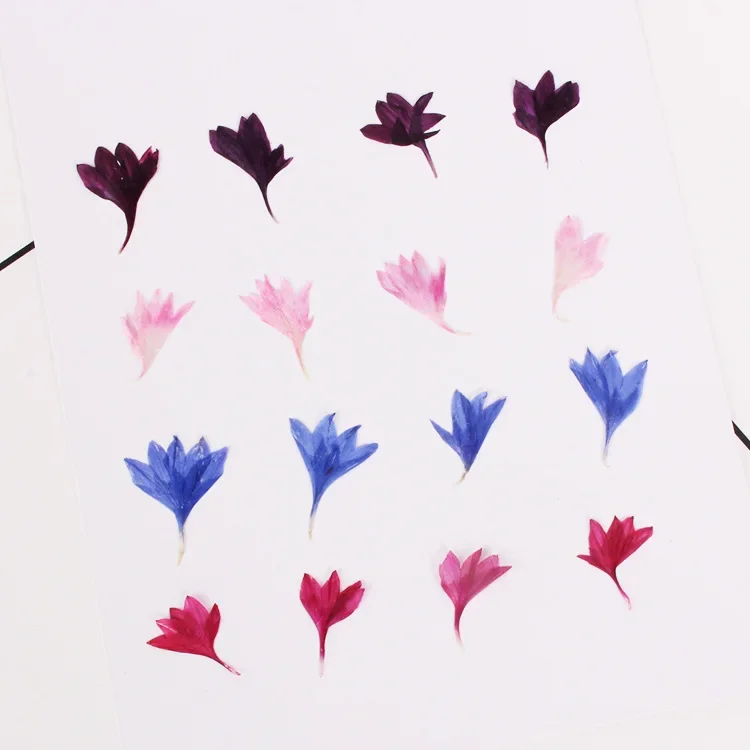 Slide image 8db252d4b12a43b58238b7b3168cef58