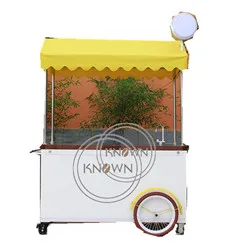 cargo tricycle bike25001