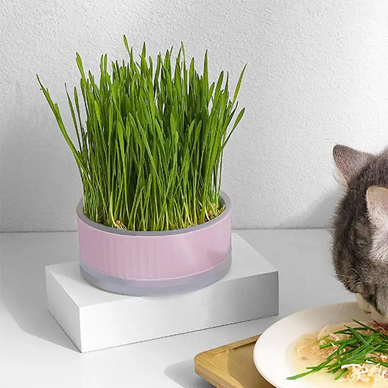 

Pet Cat Sprout Dish Growing Pot Catnip Planter Hydroponic Plant Grass Grower Detachable Planting Soil Free Grass Box Pet Aid