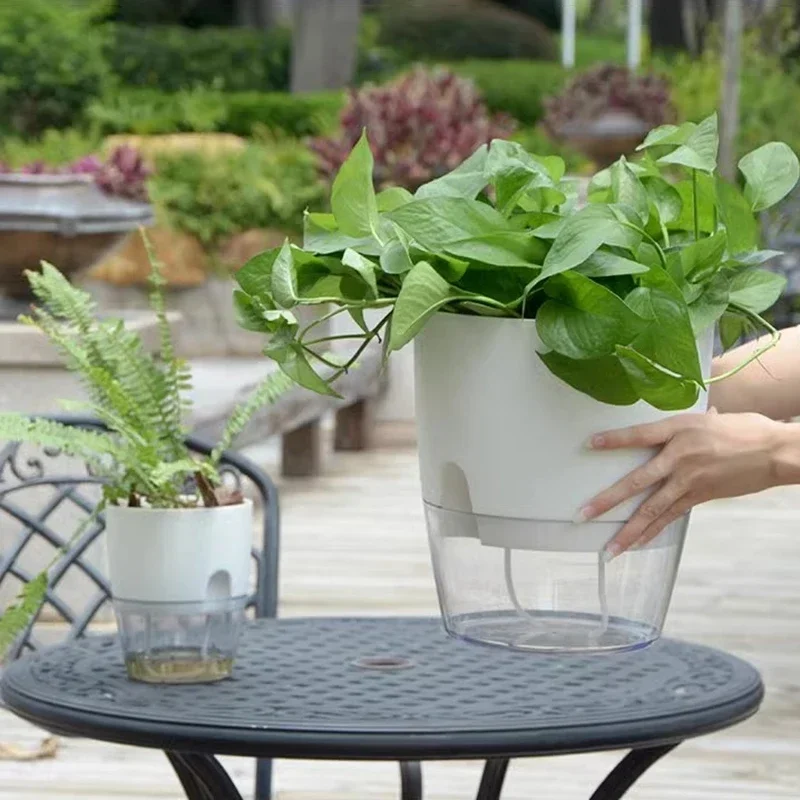 Transparent Self-Watering Hydroponic Flower Pot with Double-Layer Design and Cotton Rope System