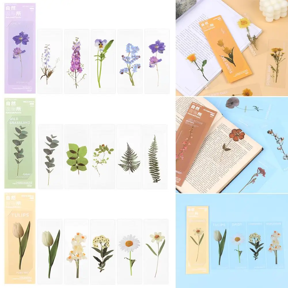 Book Note Marker PET Page Holder Reading Mark Bookmarks Card Translucent Flower Nature Plants Bookmarks Specimen floral painting bookmark,bookmark page holder,bookmark holder,retro flower bookmark