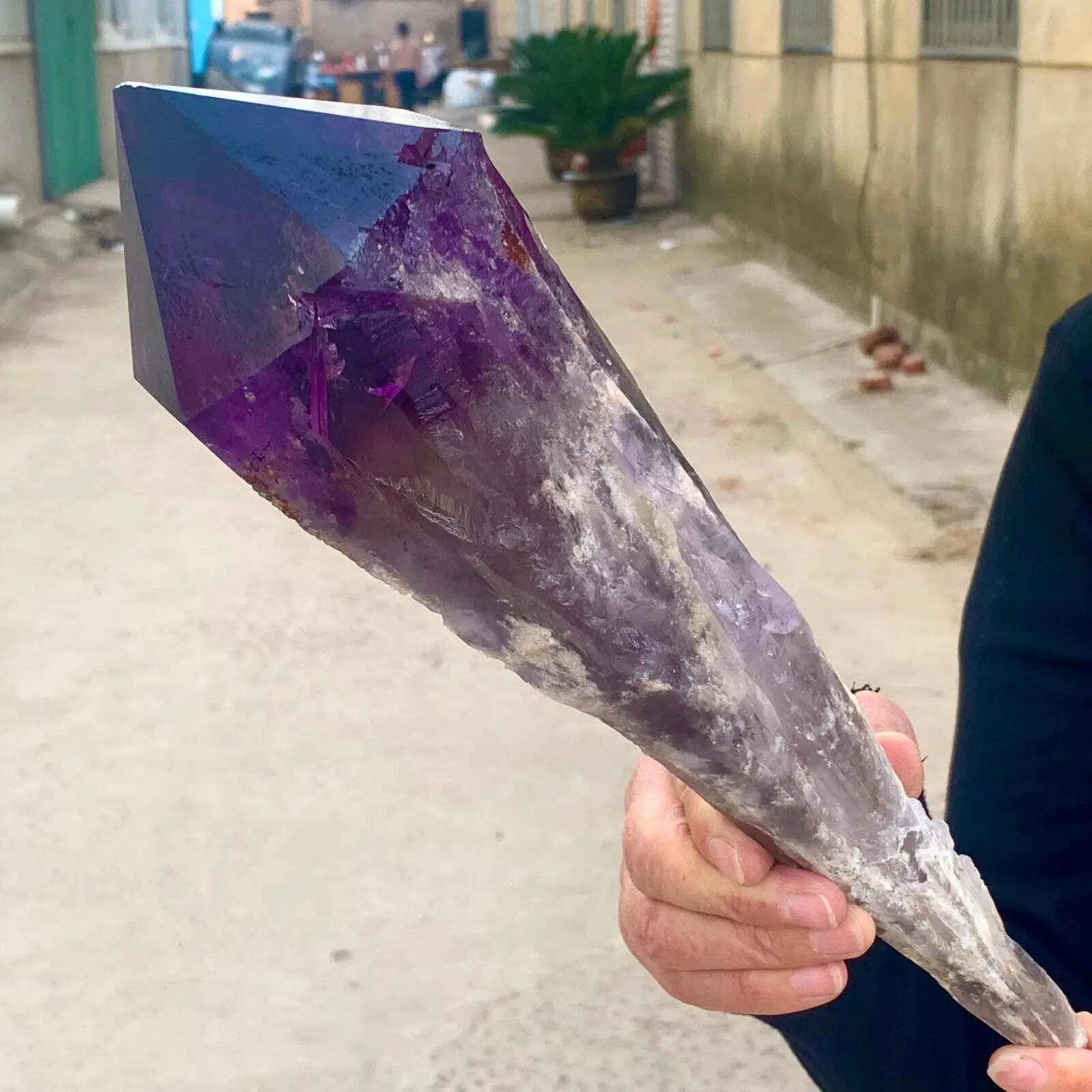Natural Amethyst Scepter Healing Specimen 3