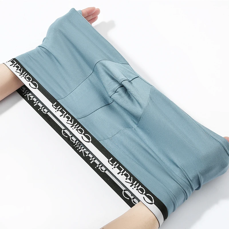 10 pcs CaiKuLin Brand Modal Sexy Boxer Shorts For Men Underwear Male Panties Slip Letter High Elastic Underpants Boy Lingerie