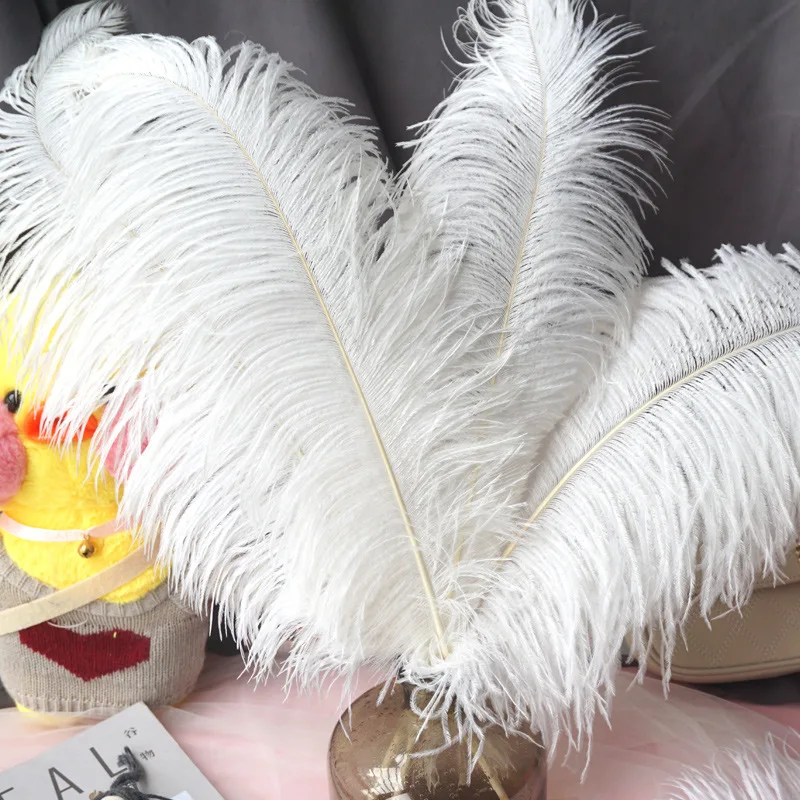 Wholesale 15-70cm Natural White Feathers Ostrich Plumes Diy Large Ostrich  Feathers Party Wedding Feathers For Crafts Decorations - Feather -  AliExpress