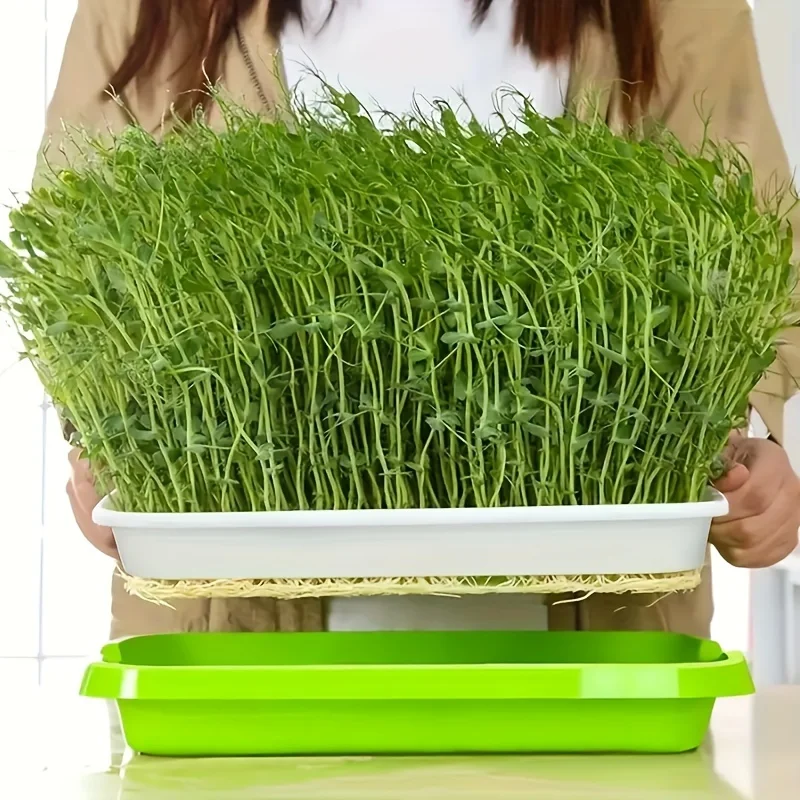 Plastic Sprouter Tray Grow Nursery Pots Vegetable Soilless Nursery Trays for Sprout Hydroponic Tray Garden Potted