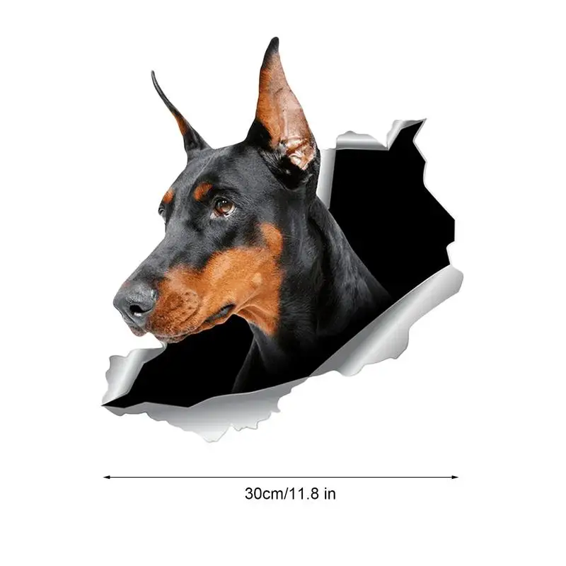  տ ڵ 3D ƼĿ, â ȭ ƼĿ, ڽƮ ҵ տ, ȭ ƼĿ,  ƼĿ,  