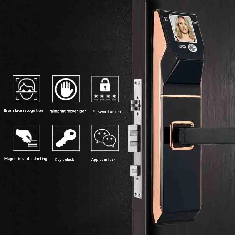 Рисунок 2 - Сканер лица, цифровой дверной замок app smart s wifi