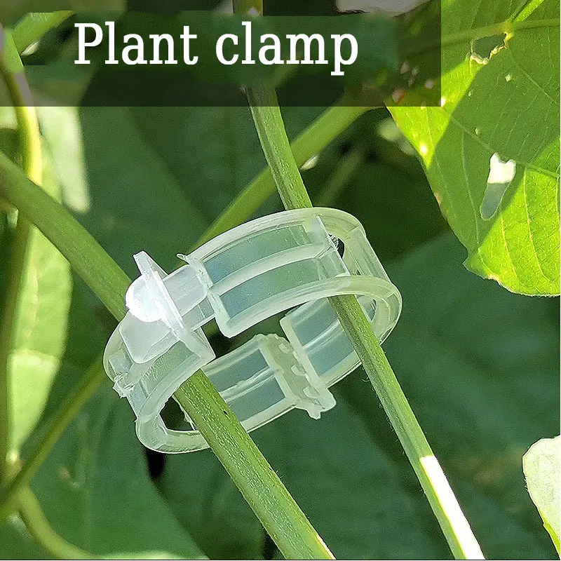 

Plant Climbing Support Wall Clips Vine Buckle Hook Rattan Clamp Fixator Self-Adhesive Plant Stent Invisible Vine Fixed Bracket