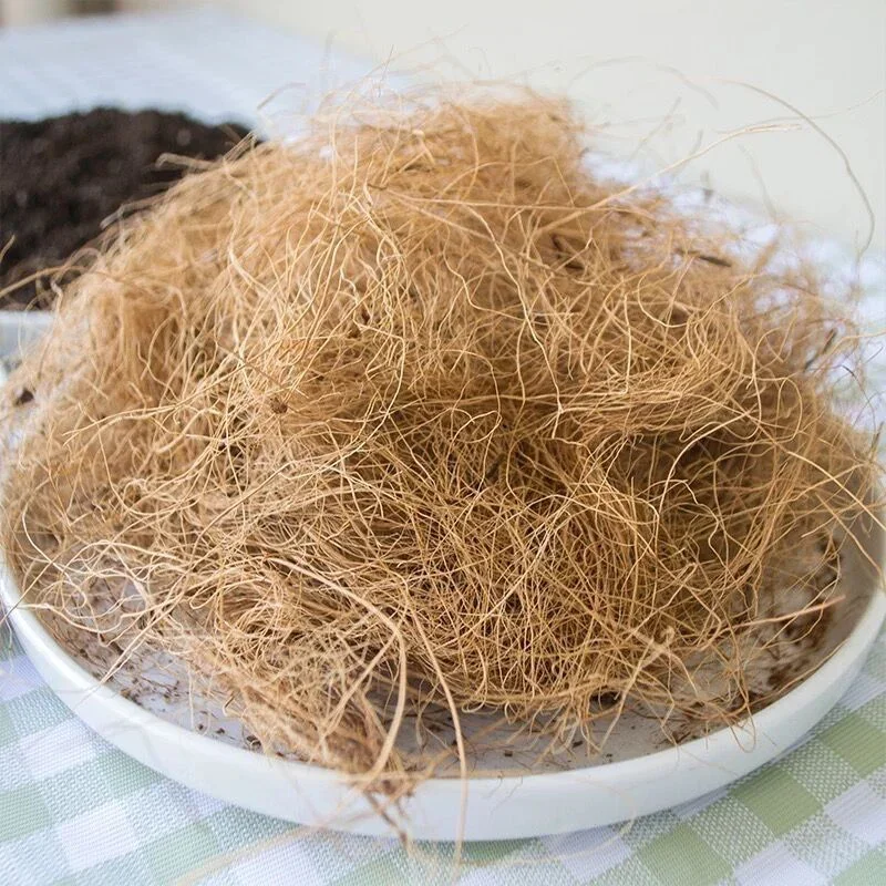 Natural Coconut Husk Fiber Orchids Crafts Pet Bedding Insect-Proof Protect Plants Maintain Soil Temperature 200g