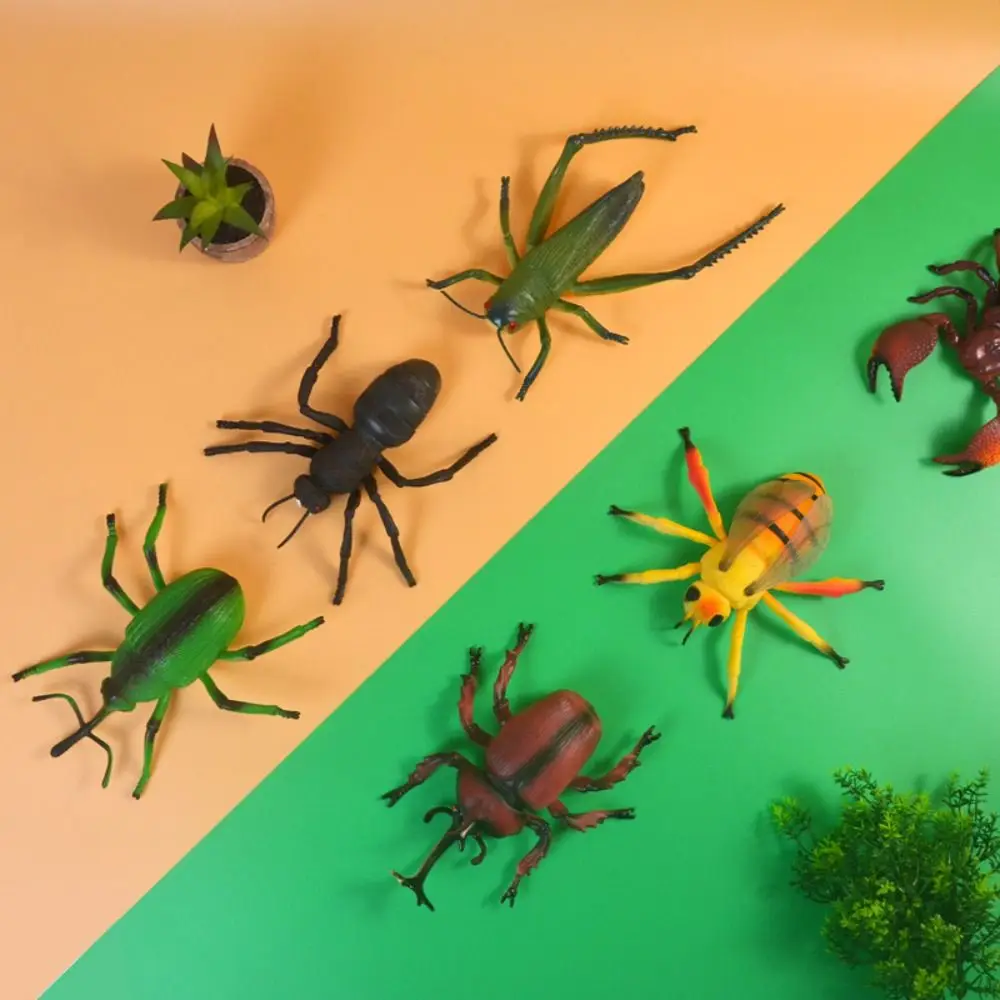 Рисунок 6 - Игрушка-паук для Крикета