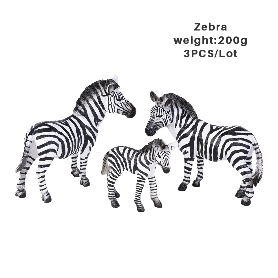 The Zebra Family