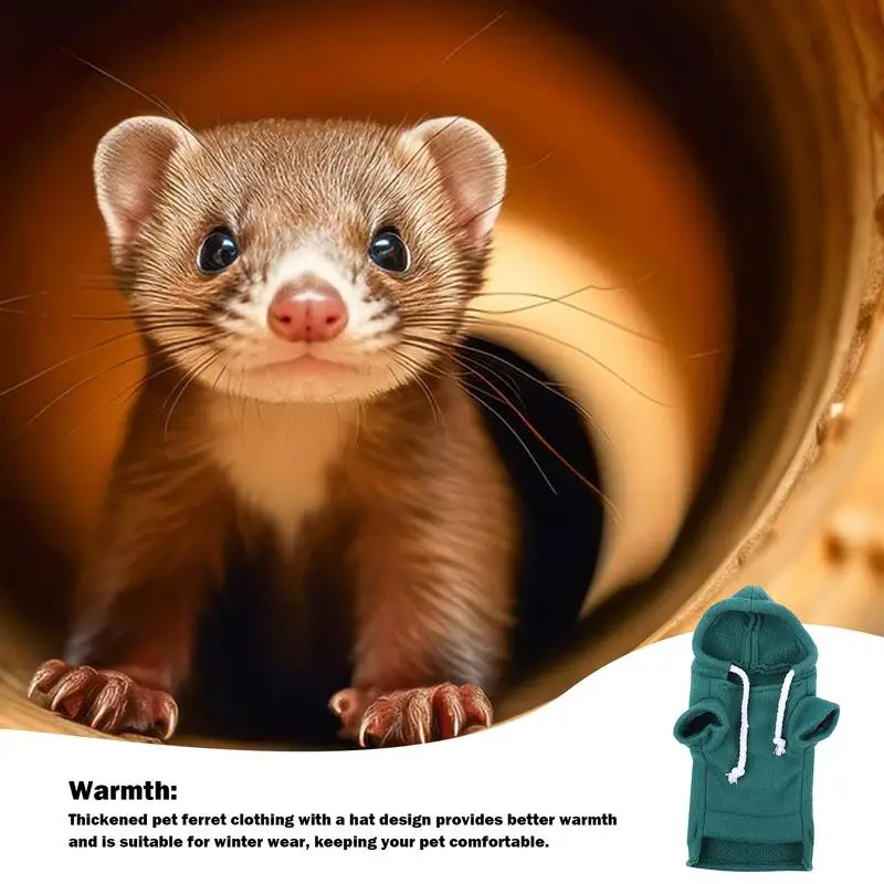 Small Pet Hoodie 4