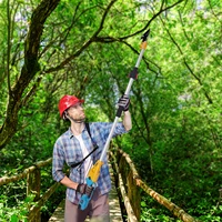 Cordless Electric Pruning Shears with 2 Spare 2.0ah Lithium Batteries (1.44-2m)Extension Pole Tree Branch Cutting Machine 1
