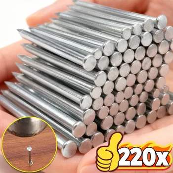 25/50mm Stainless Steel Nail