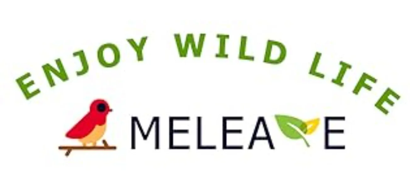 meleave bird feeder