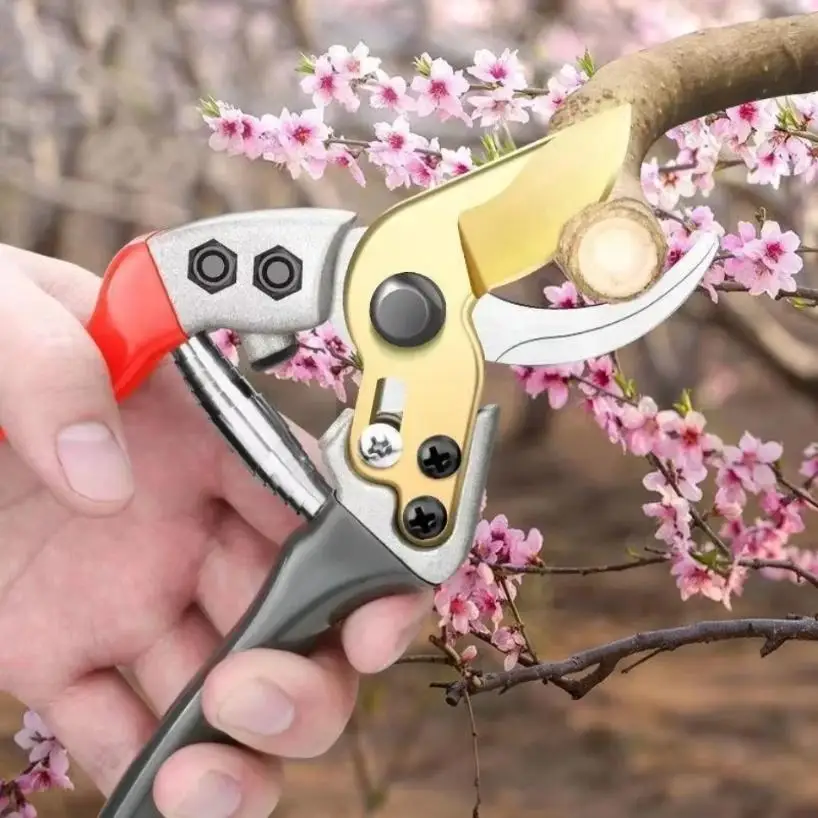 1 Pcs Horticultural Stainless Steel Scissors Fruit Tree Pruning Flower Arrangement Pruning Pruning Garden Tools