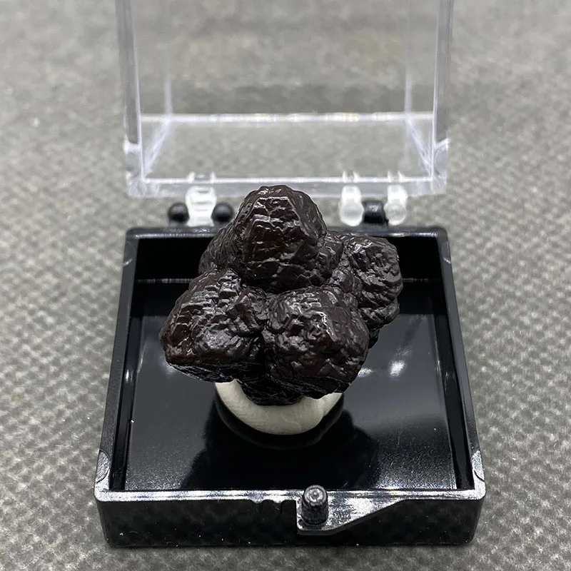 100% Natural rare Egypt Limonite mineral specimen stones and crystals healing crystals quartz gemstones +box size:35*35*35mm