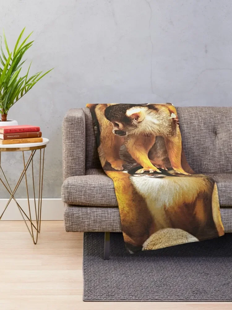 �ٶ��� ������ ������ ���, ķ�� ���� ���