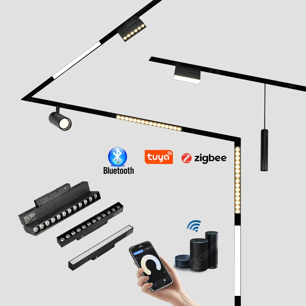 

Черно-белый алюминиевый рельс DC 48V Система низкого напряжения COB Светодиодные магнитные линейные трековые светильники
