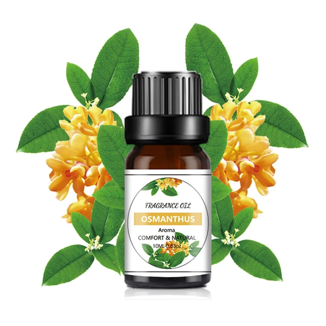 10ML Aromatherapie Ätherisches Öl Parfüm Zitrone Lilie Mint Jasmin  Natürlichen Pflanzen Extraktion Ätherisches Öl Hause Duft Produkte -  AliExpress